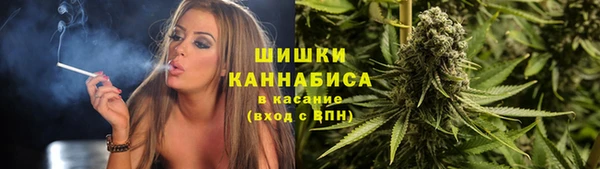 PSILOCYBIN Алзамай